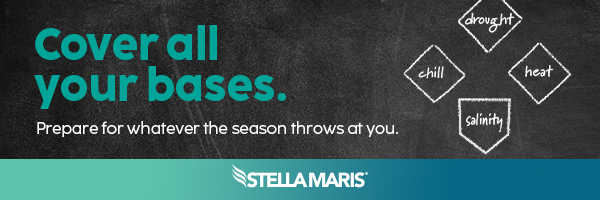 Cover all your bases.